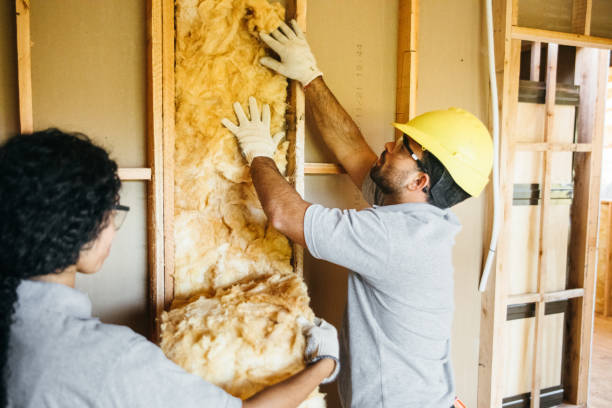 Eco-Friendly Insulation Solutions in Wellsville, UT